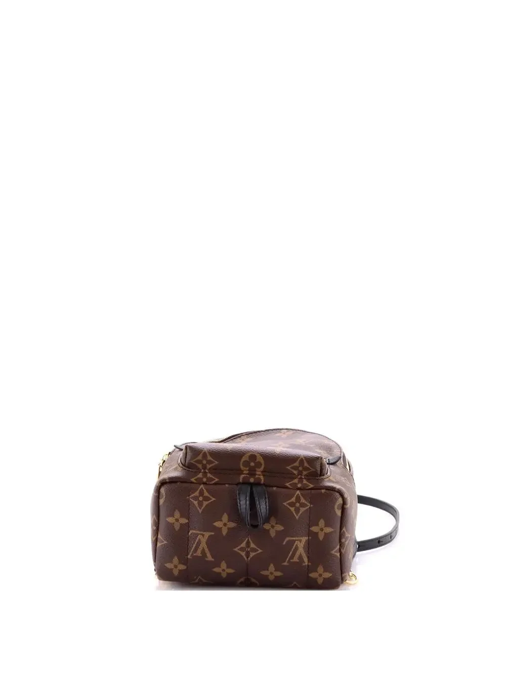 Louis Vuitton Palm Springs Backpack #244367L22B